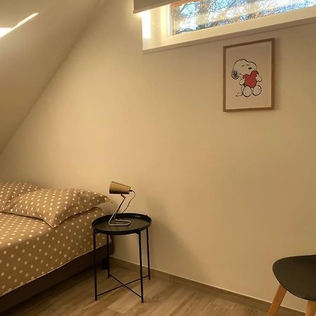 Appartement Dans Une Grange Renovee Strazburg Dış mekan fotoğraf
